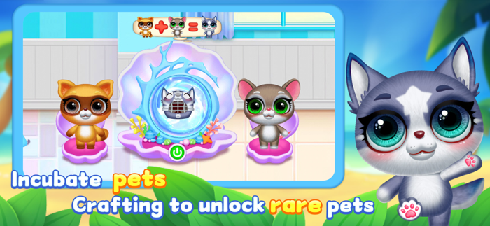 Cute Pets Dream Paradise