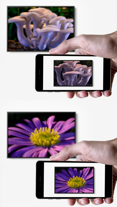 Moving Art - AR Photos Screenshot