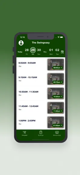 Game screenshot The Swingeasy apk