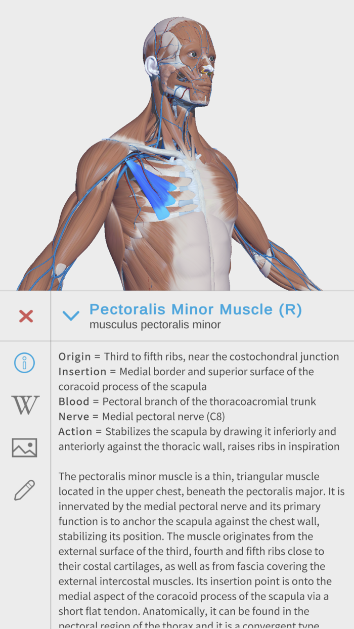 Visual Anatomy 3D - Human