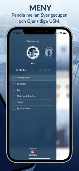 Game screenshot SWE Handboll apk