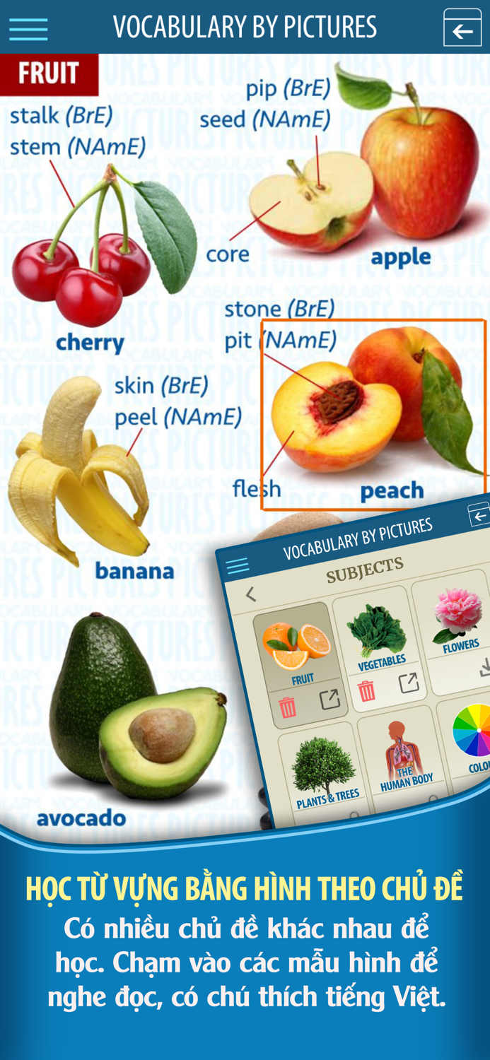 English Study PROMAX