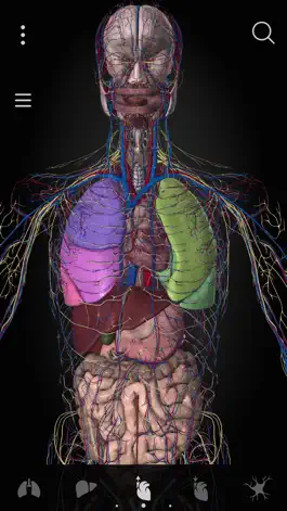 Game screenshot Anatomyka apk