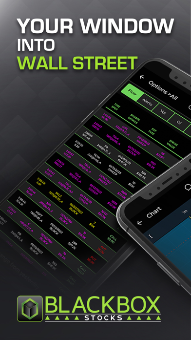 BlackBoxStocksMobile Screenshot