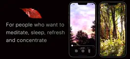 Game screenshot Sound Gift From Nature 2 apk