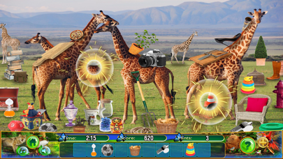 Screenshot #2 pour Hidden Objects Animal Kingdom
