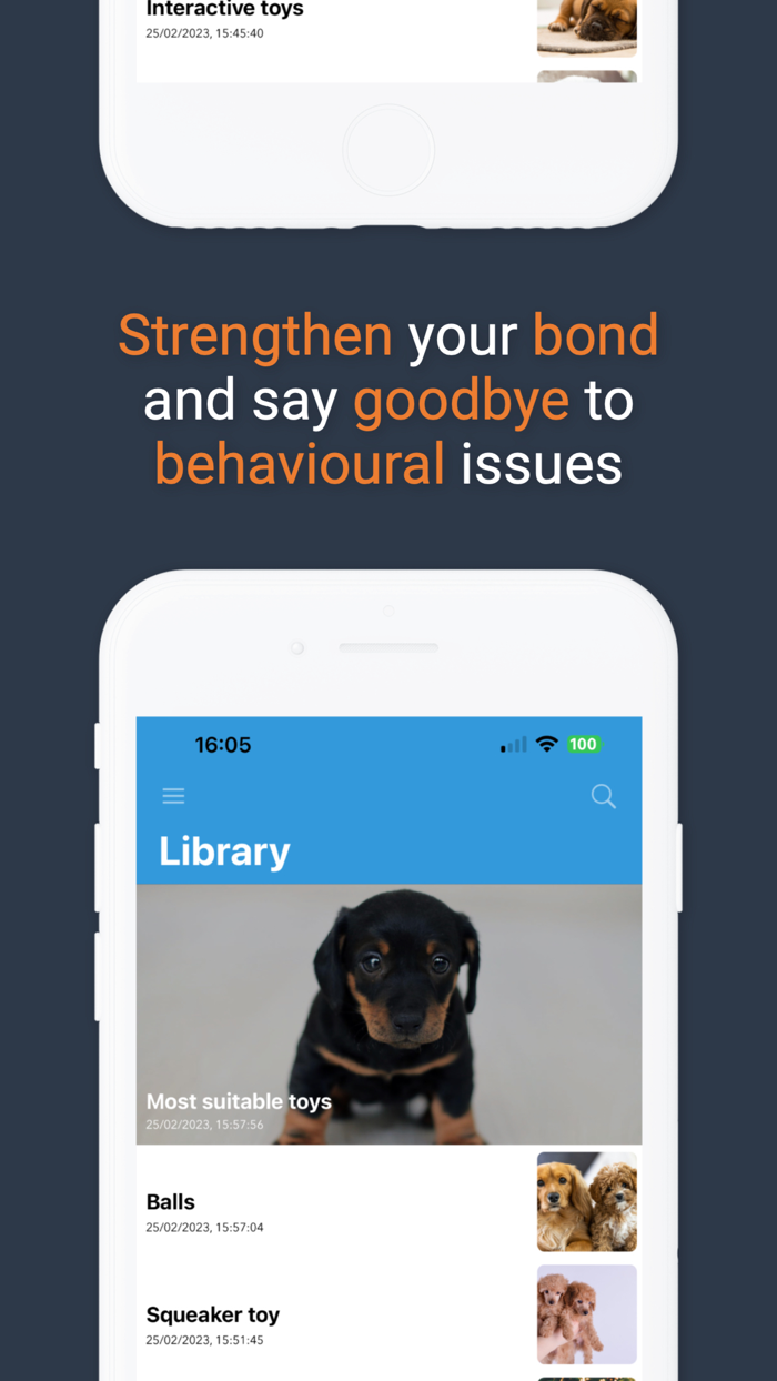 Pawfect Life - Puppy Training