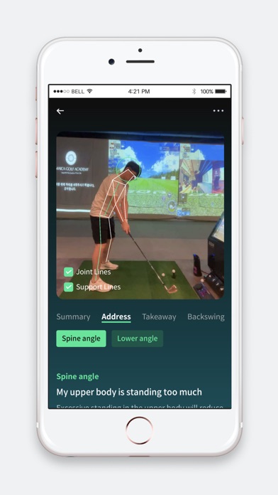 BirdiePT Screenshot