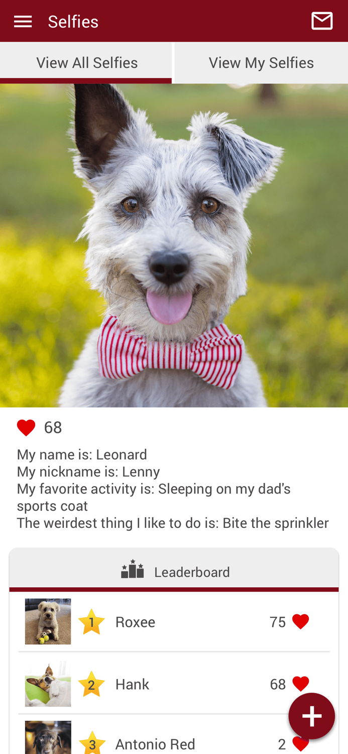 Branchs Vet Clinic Tifton