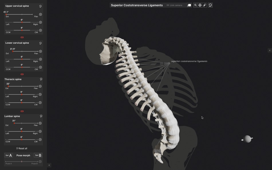 #4. Biomechanics of the Spine (macOS) Podle: Anatomy Standard
