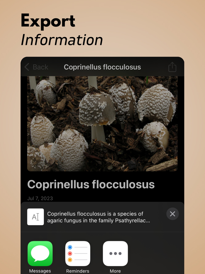 Mushroom Identification