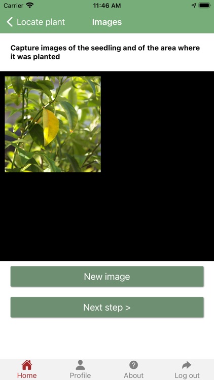 The Un-Endangered Forest screenshot-3