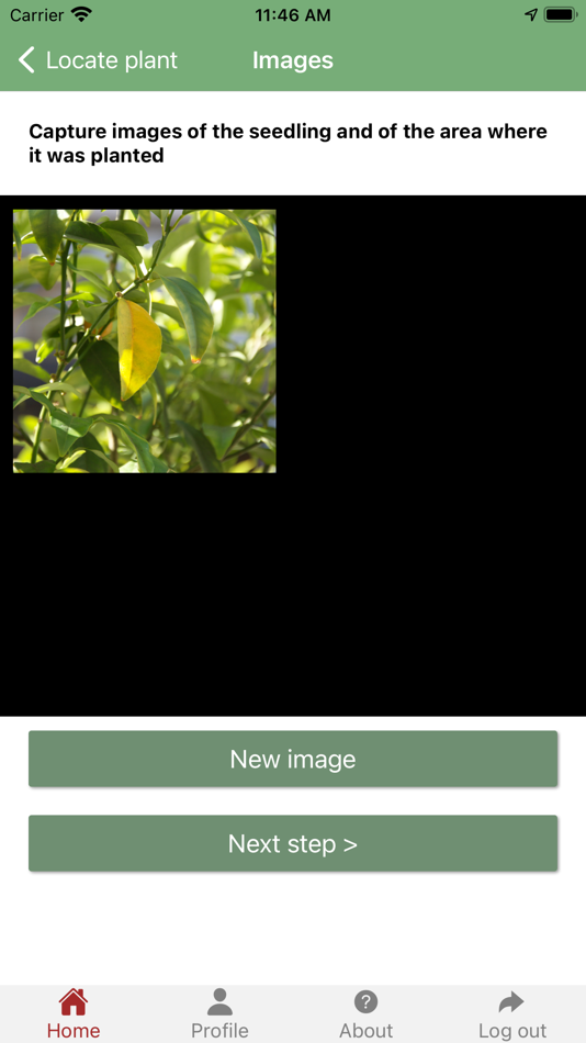 #4. The Un-Endangered Forest (iOS) 由: Novo Fogo