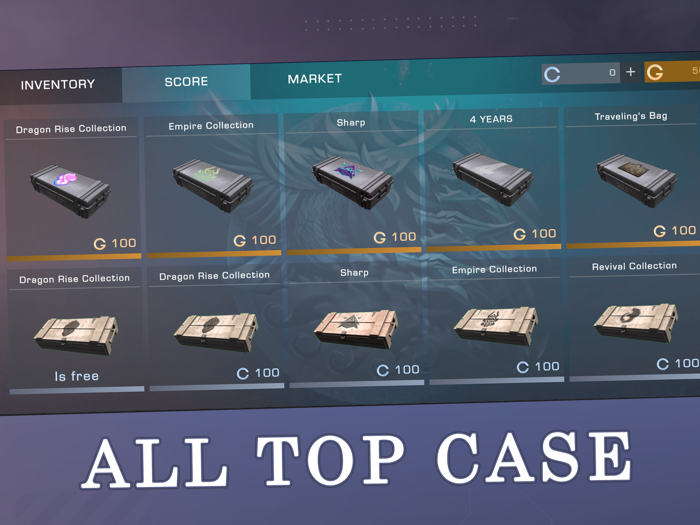 Case Simulator fo Standoff 2 D