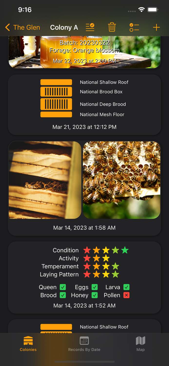 Bee Beekeeping Assistant