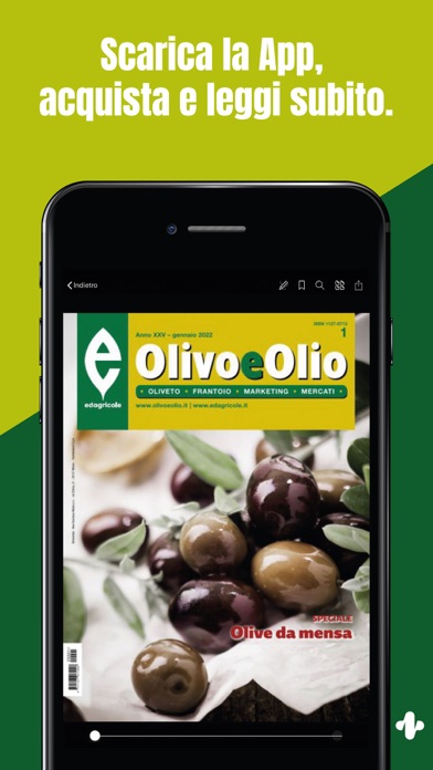 Olivo e Olio Screenshot