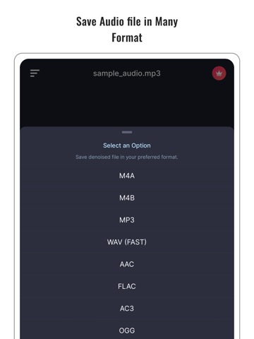 Audio Noise Reducer & Recorderのおすすめ画像4