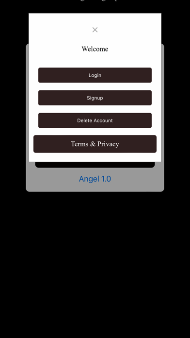 Angel the Bible Assistant tool Screenshot