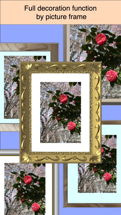 Exhibition Room Creator screenshot-6