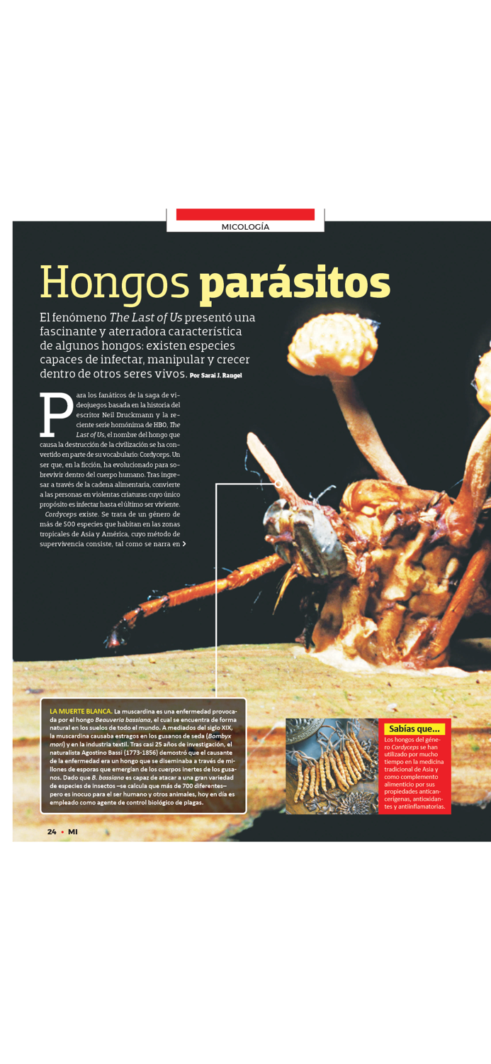 Muy Interesante México