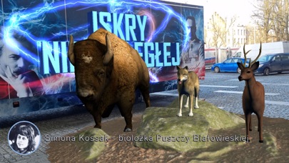 Iskry Niepodległej Screenshot