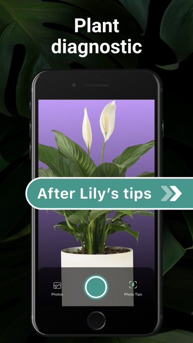 LiLy: Plant, Flower Identifierのおすすめ画像3