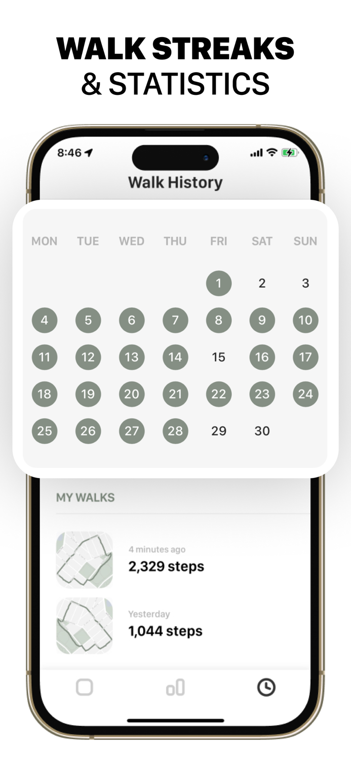 Ramble Walking App, Pedometer