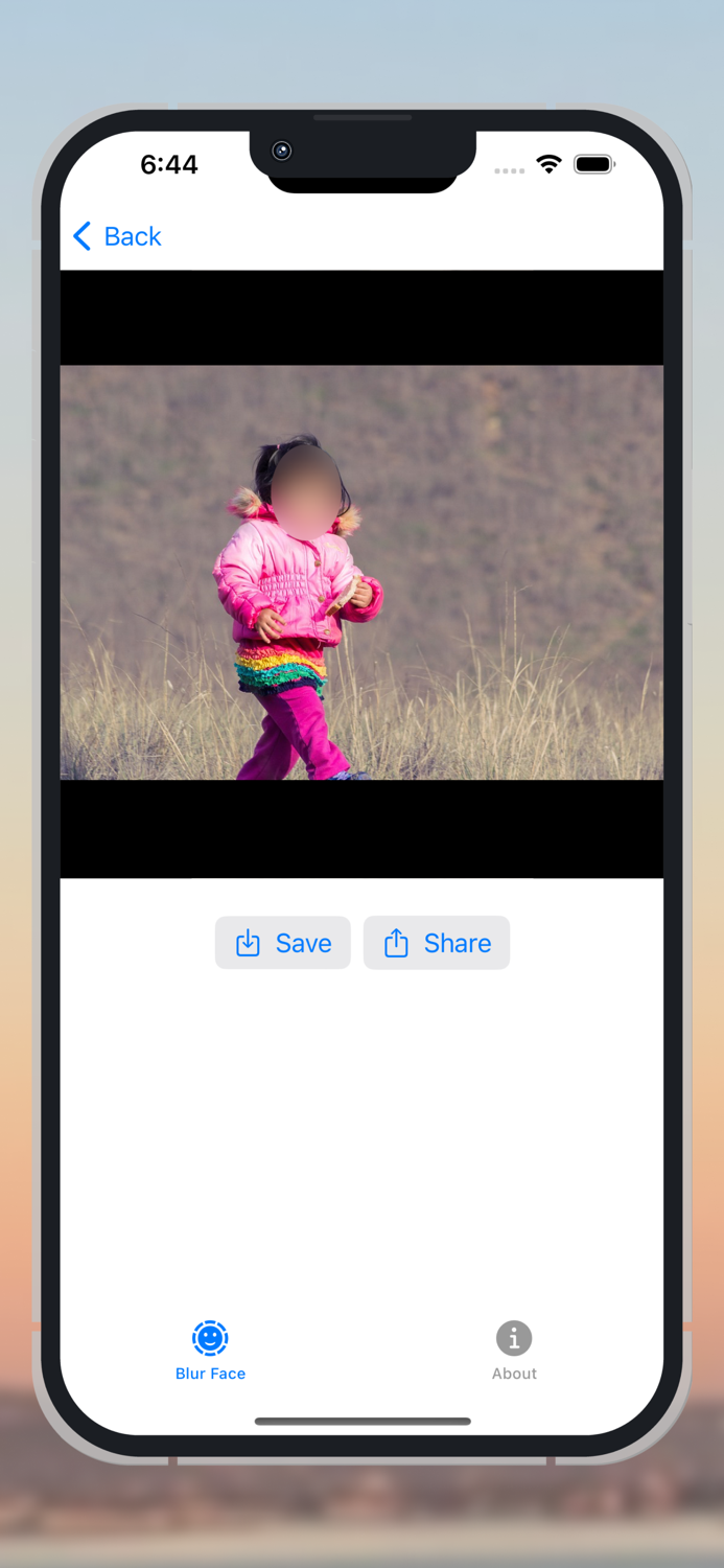 FaceHaze Blur Faces in Videos