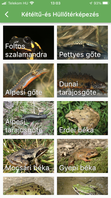 Kétéltű- és Hüllőtérképezés Screenshot