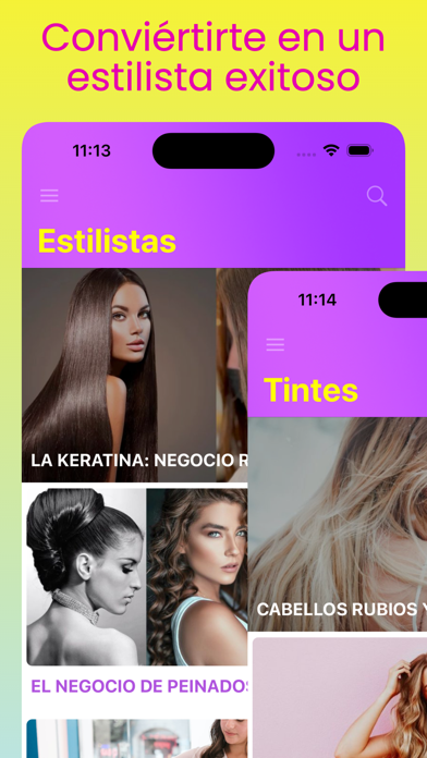 Negocios de Estilistas Screenshot