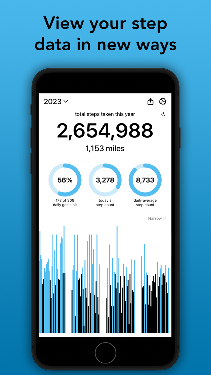 Step Year Pedometer in Review