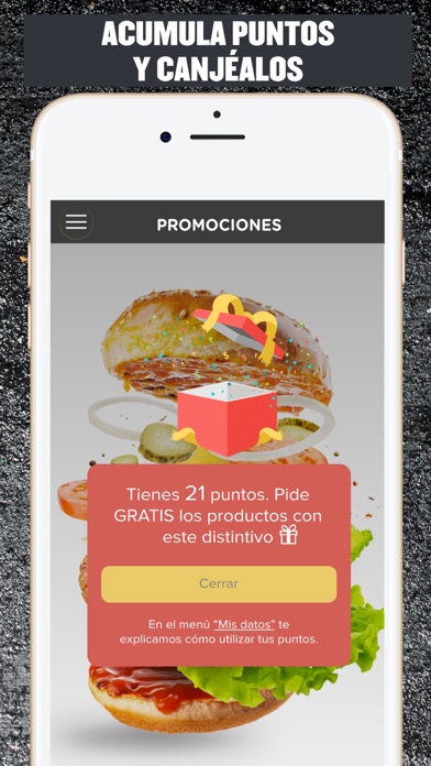 Rixtor Burgers Screenshot