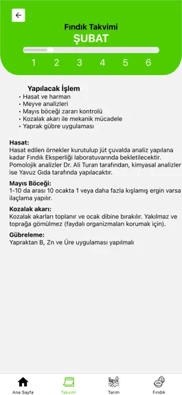 Game screenshot Fındık Uzmanı apk