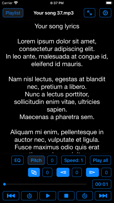 Lyrics Play Screenshot
