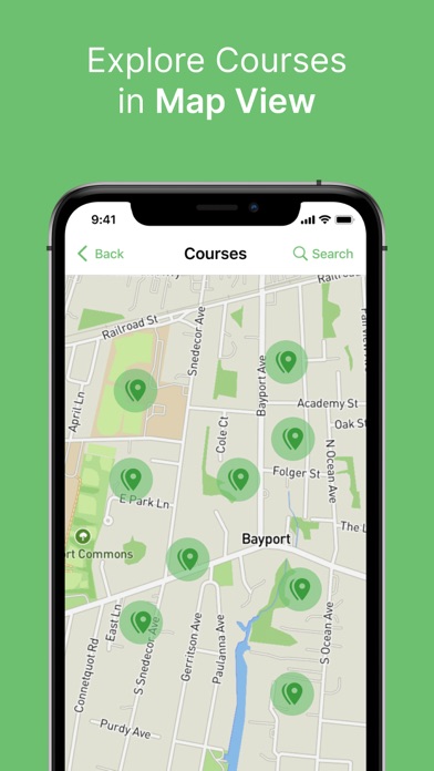 Digital Fairways Screenshot