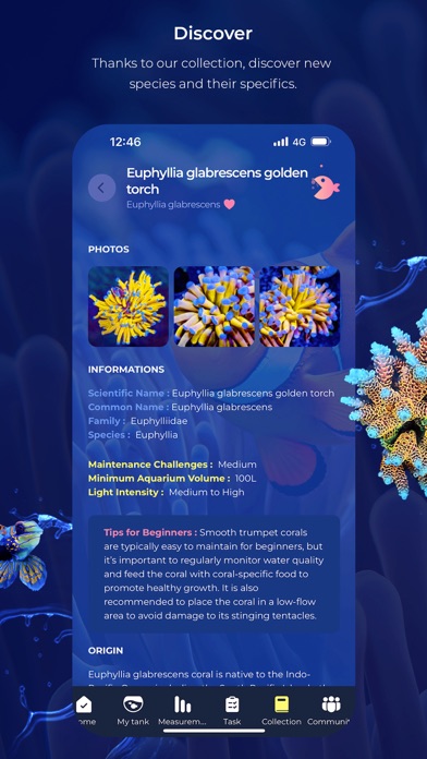 Blue - Upgrade your reef life screenshot n.4