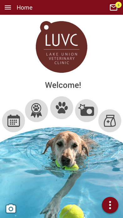 Lake Union Vet Screenshot