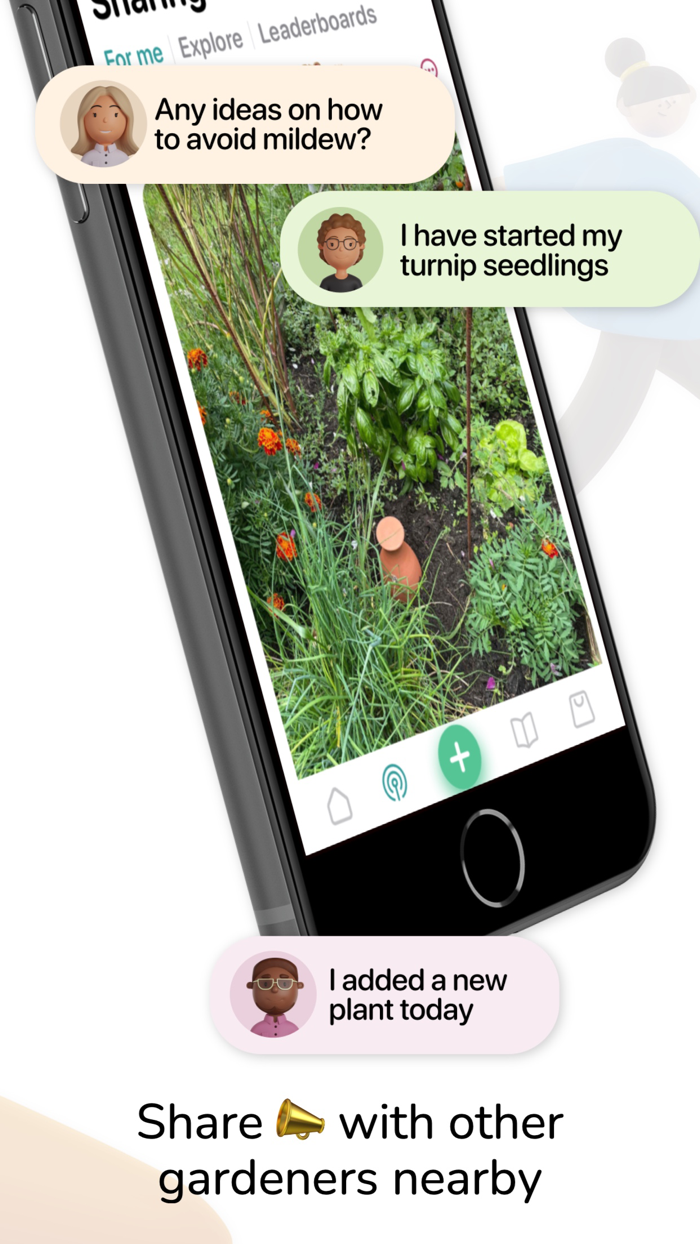 Tomate and Basilic- Permaculture