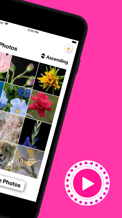 Live Photo Converter * Screenshot