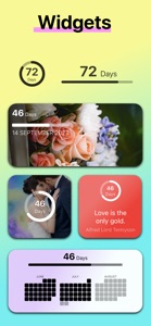 Wedding Countdown · screenshot #2 for iPhone