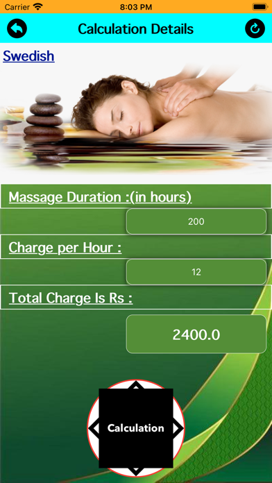 The Massage Manager Screenshot
