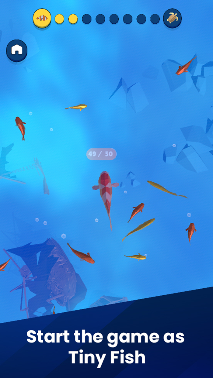 Hyper Life Evolution