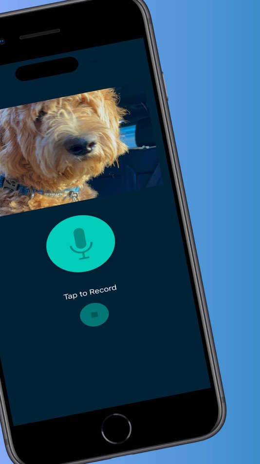 #2. Rocky Gunner Pitch (iOS) 由: Francisco Lopez