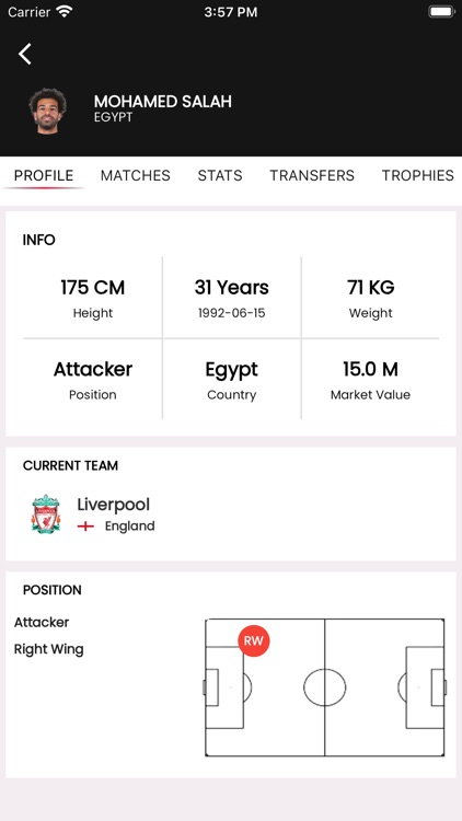 Euro Football screenshot-5