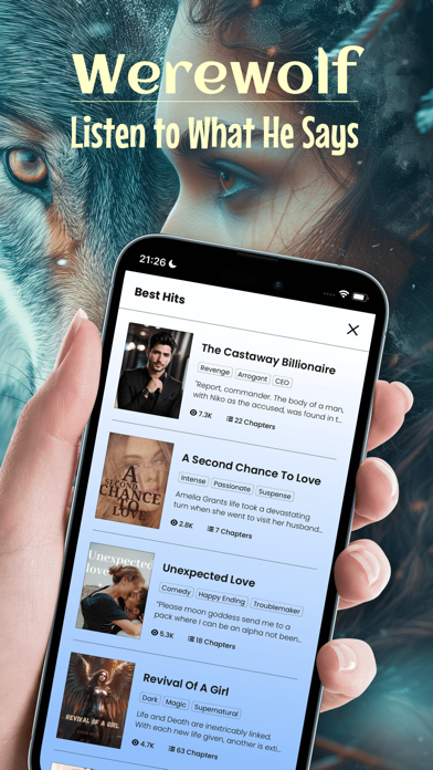 NovelPal-Read Webstories Screenshot
