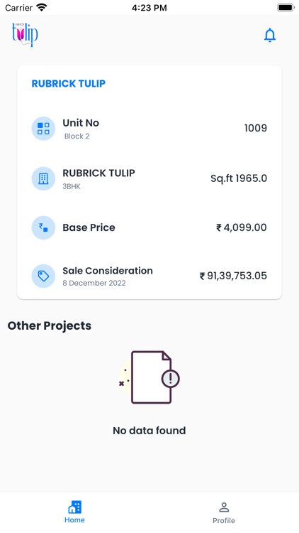 Rubrick Constructions screenshot-3