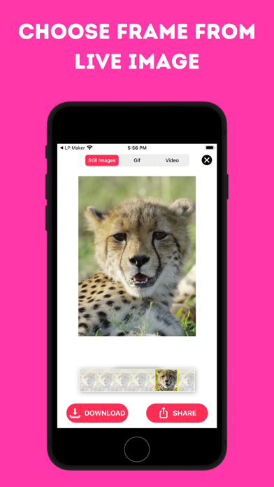 Live Photo Converter * Screenshot