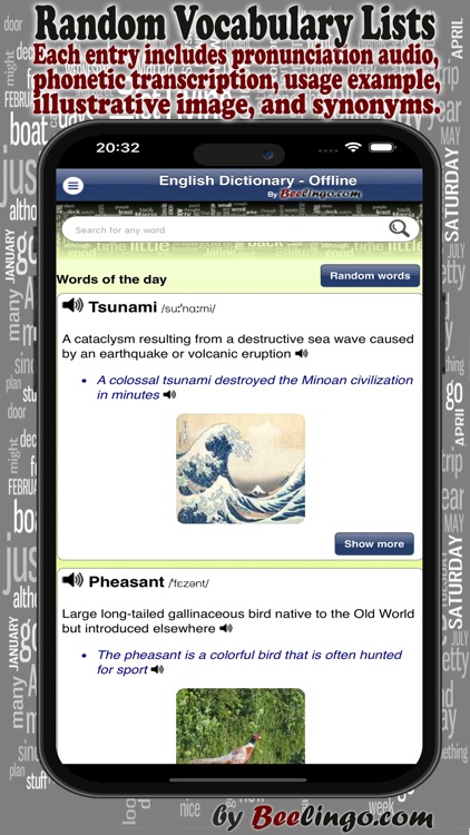 English Dictionary (Premium)