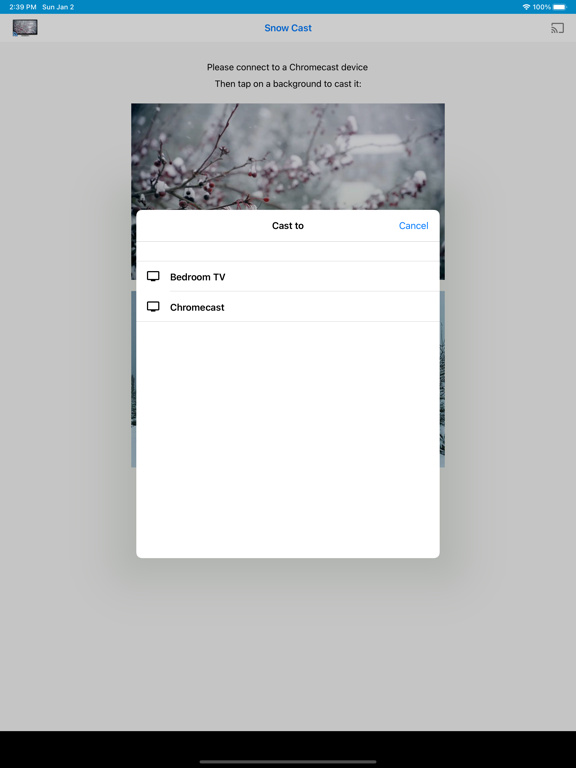 Screenshot #5 pour Snowfall on TV for Chromecast