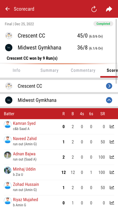 Caso Cricket League Screenshot